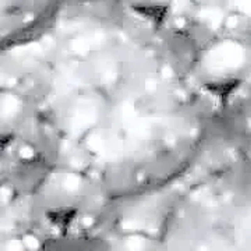 .30 TCW Diamond Sterling Silver Pave Stud Earrings (4/10 inch)