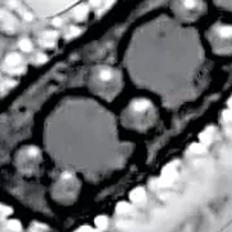 .22 TCW Black and White Diamond Sterling Silver Pendant and Chain 18 Inches