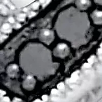 .22 TCW Black and White Diamond Sterling Silver Pendant and Chain 18 Inches