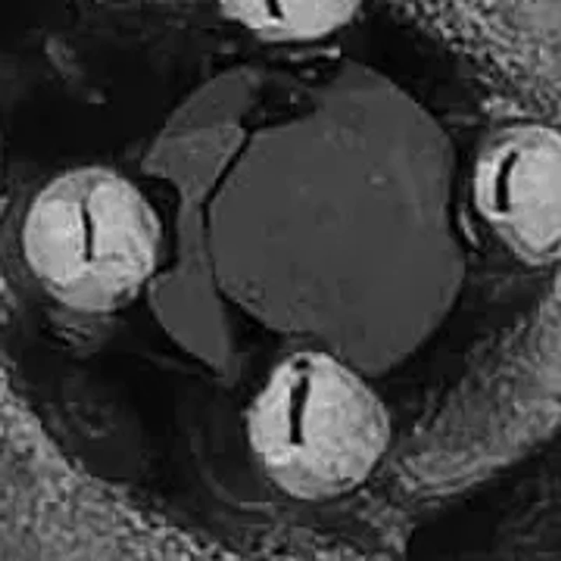 Enchanted Disney Fine Jewelry Womens Stud Earrings