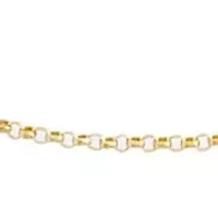 Rolo Chain Bracelet 14K