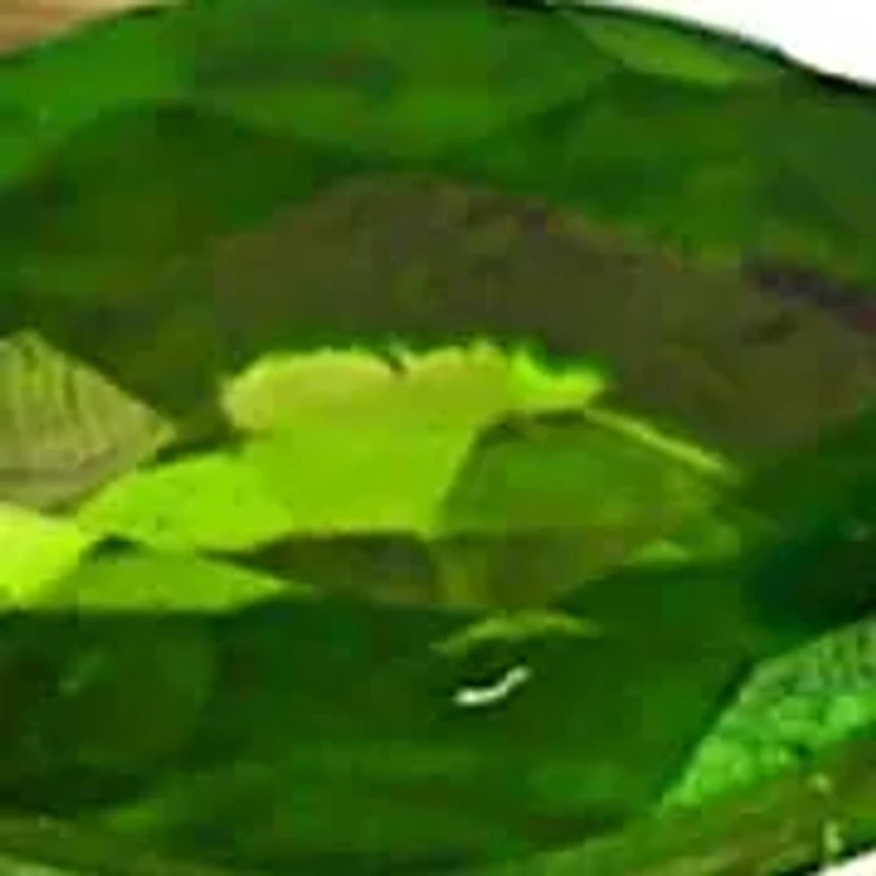 14K White Gold Diamond And Sapphire Ring