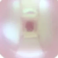 14K Gold 6-6.5MM Fresh Water Pearl Earring