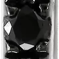 14K White Gold Treated Black Diamond Earring