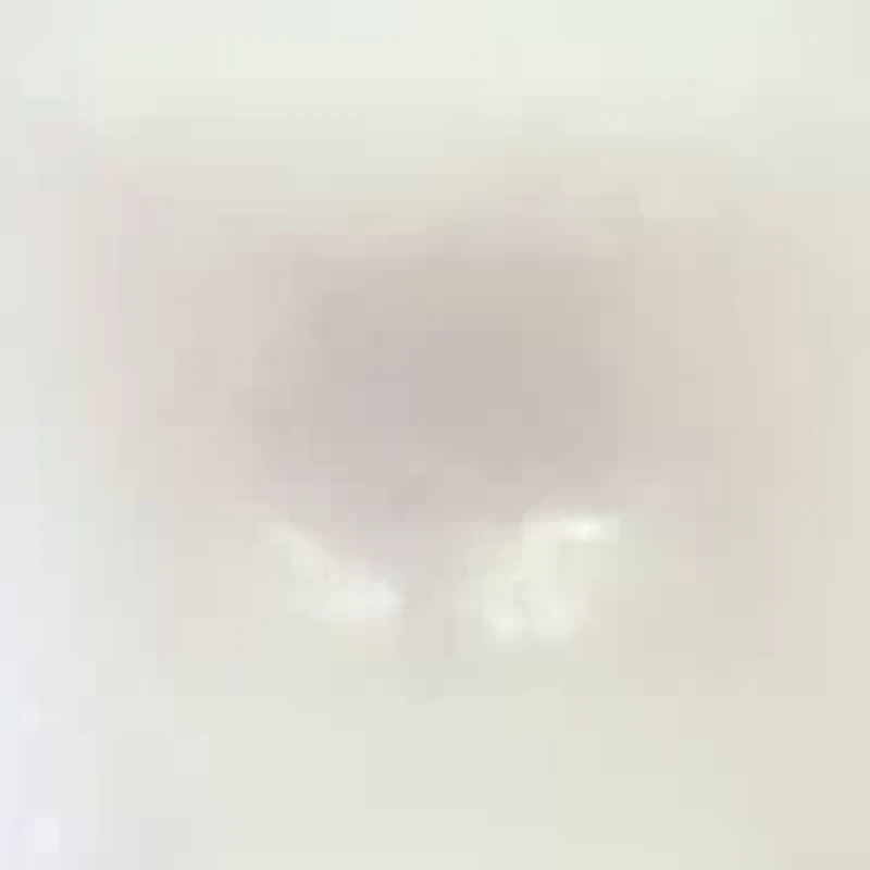 14K Gold 7-7.5MM Fresh Water Pearl Stud Earring