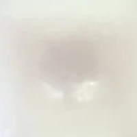 14K Gold 7-7.5MM Fresh Water Pearl Stud Earring