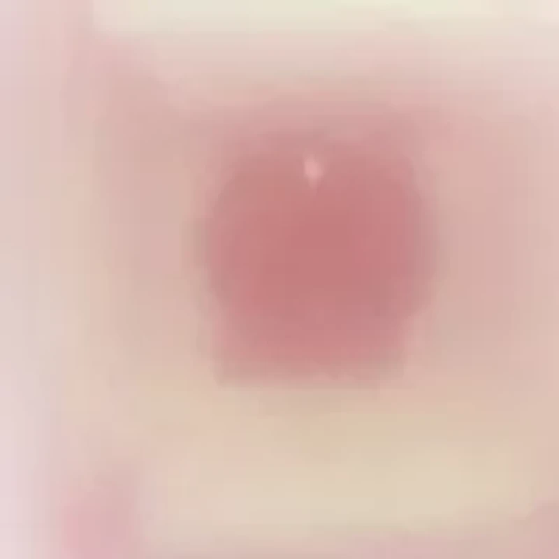 14K Gold 7-7.5MM Fresh Water Pearl Stud Earring