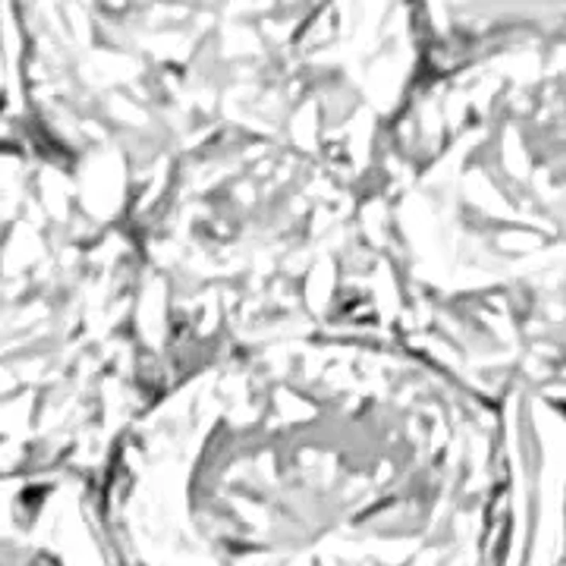 14K White Gold Diamond Clover Ring