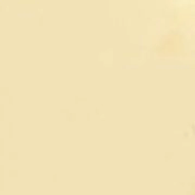 14K Gold Bull Stud Earrings