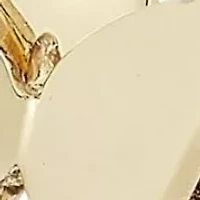 14K Gold Double Butterfly Stud Earrings