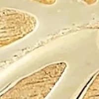 14K Gold Butterfly Wing Stud Earrings