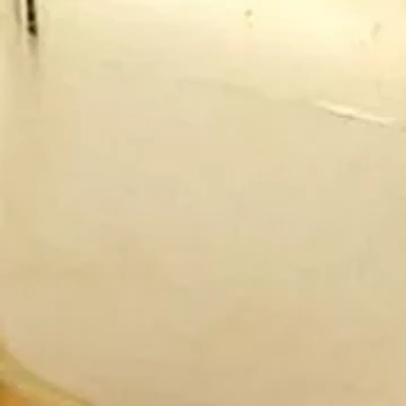 14K Gold Love Knot Stud Earrings