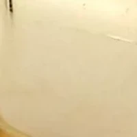 14K Gold Love Knot Stud Earrings