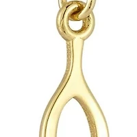 14K Gold Mini Wishbone Pendant Necklace