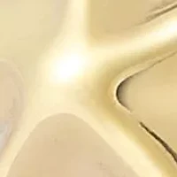 14K Gold Starfish Stud Earrings