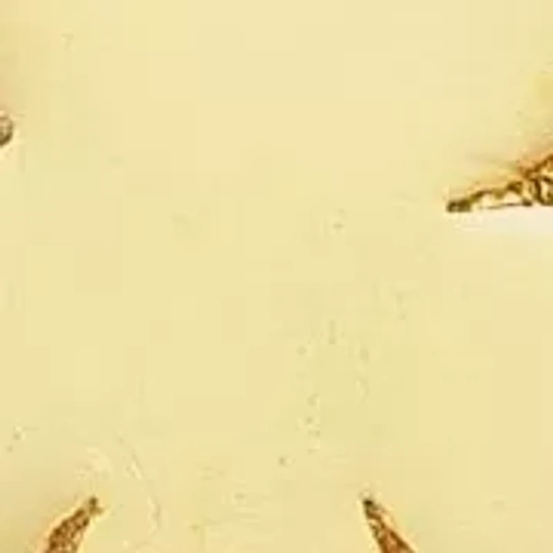 14K Gold Puffed Flat Flower Stud Earrings, Made in Italy