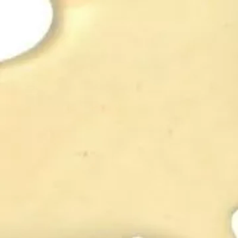 14K Gold Horse Stud Earrings