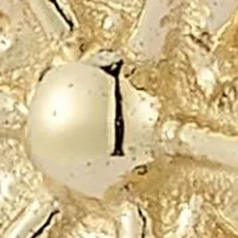 14K Gold Flower Stud Earrings