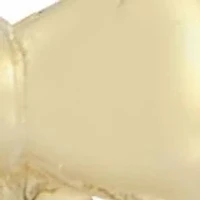 14K Gold Dainty Bow Stud Earrings