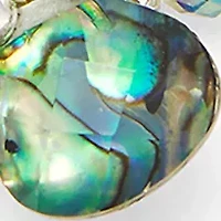 Multi Abalone Stretch Bracelet Set