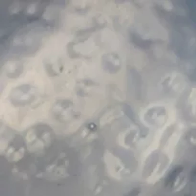 Gold Tone Multi Circus Seal Pin