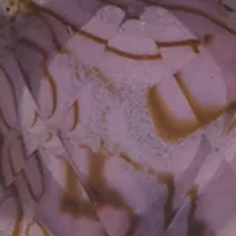  Purple Moon Stretch Bracelet