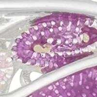 Crystal Butterfly Pin