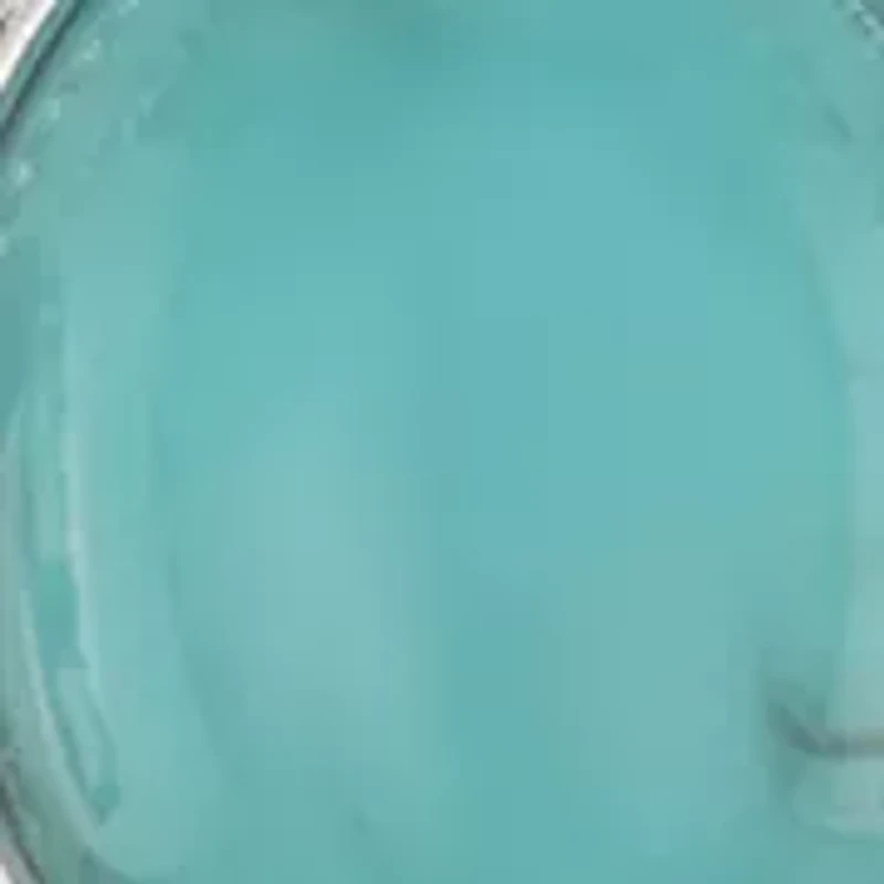 Western Charm Necklace Set 