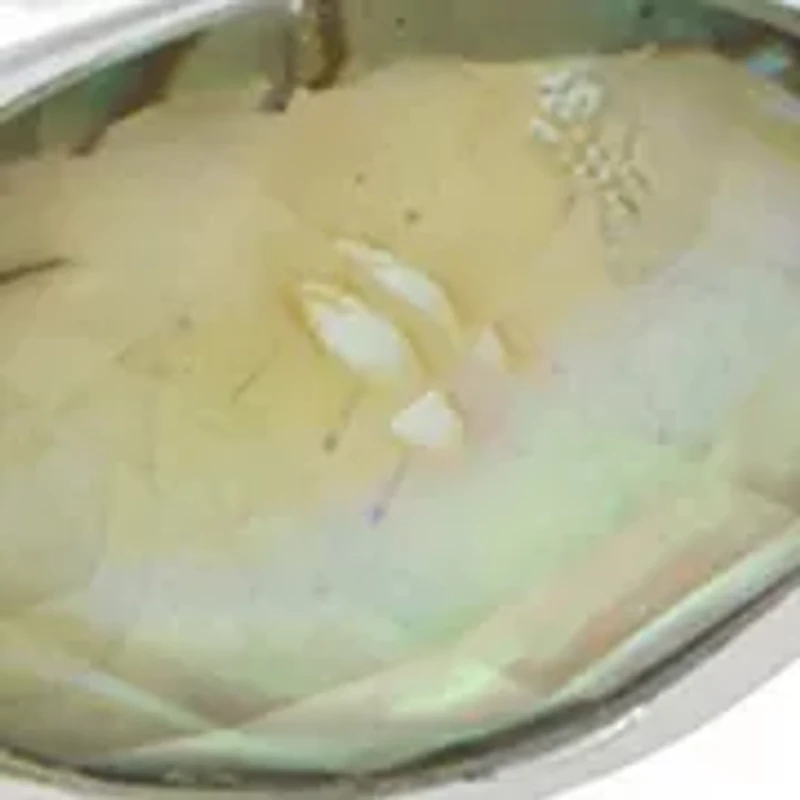 Silver Tone Ocean Abalone Stretch Bracelet