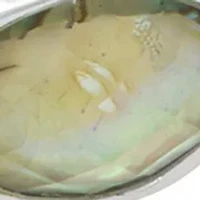 Silver Tone Ocean Abalone Stretch Bracelet