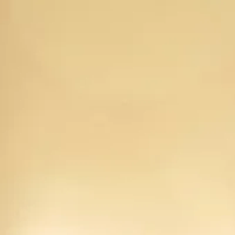 Gold Tone Hinge Double Drop Clip Earrings