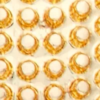 Gold Tone Texture Stud Clip Earrings