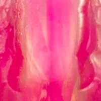 Flamingo Drop Earrings