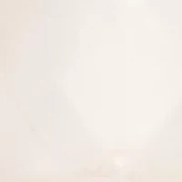 Single Drop Earrings