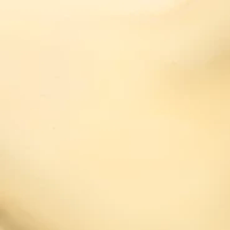 Gold Tone Glitzy Stud Earrings