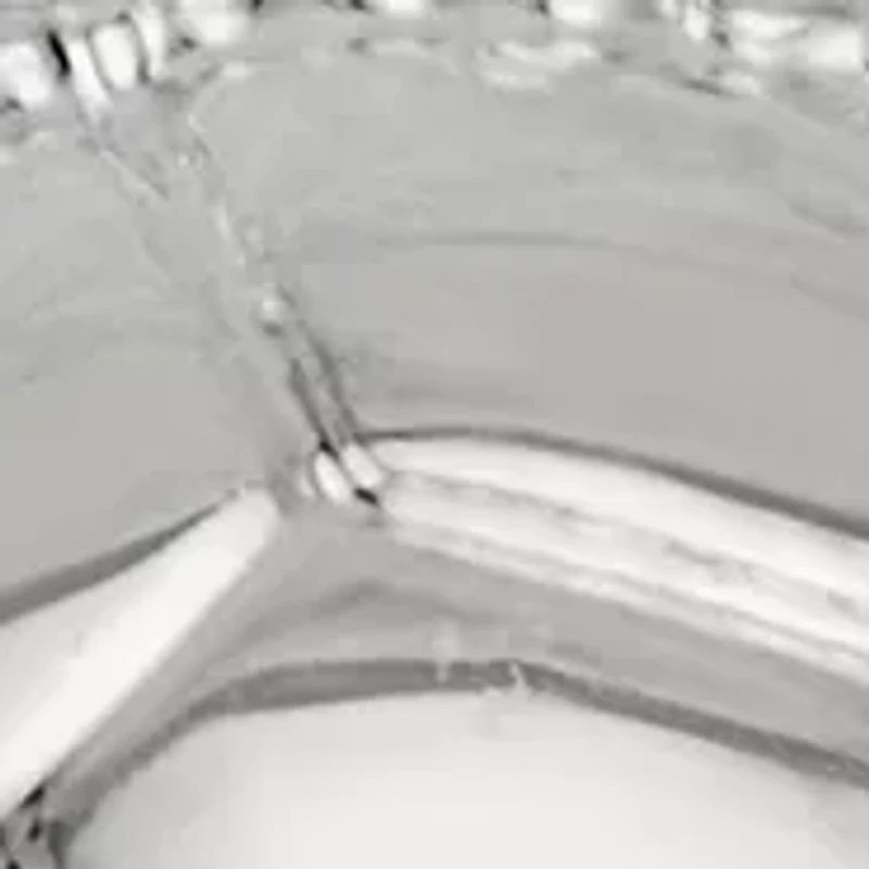 Silver Tone Turtle Drop Earrings