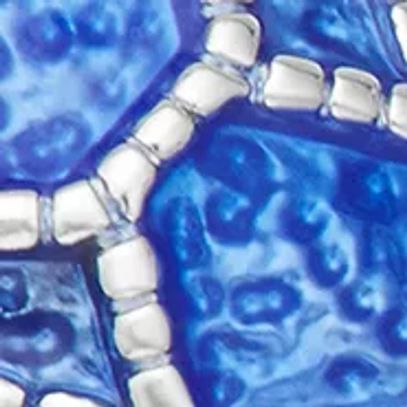 Silver Tone Blue Turtle Double Drop Earrings