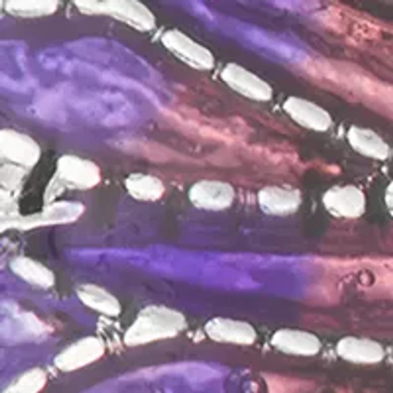 Dragonfly Drop Earrings