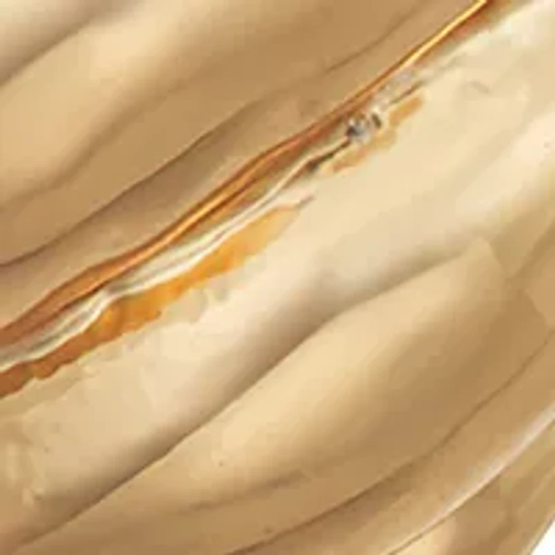 Gold Tone 18 Millimeter Domed C Hoop Earrings