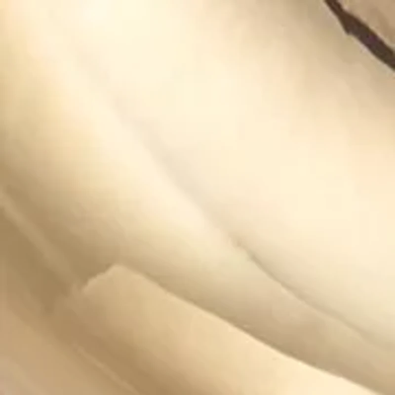 Gold Tone 18 Millimeter Puffy C Hoop Earrings