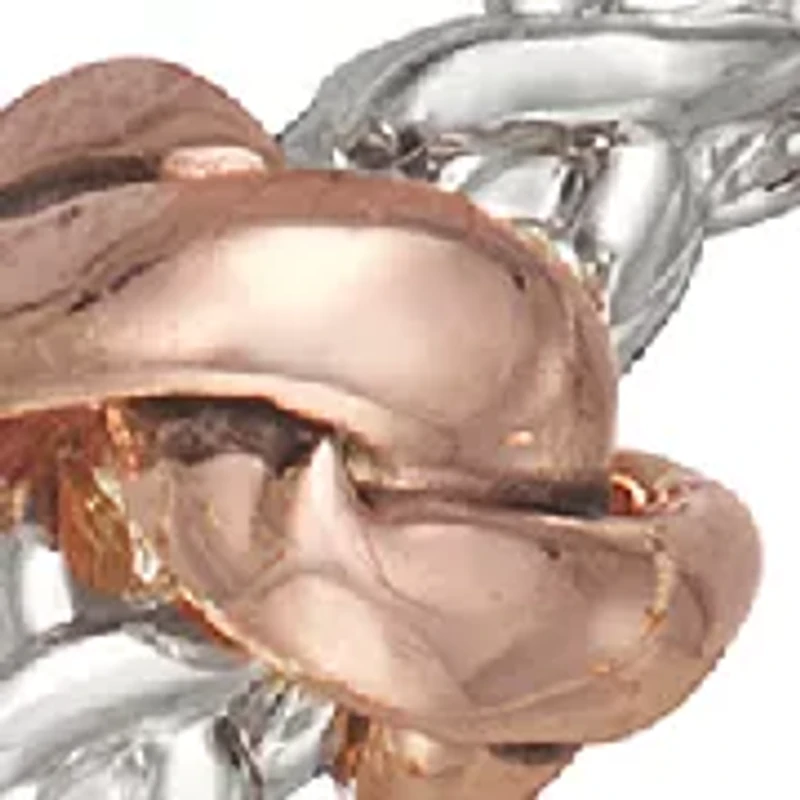 Tri Tone Mixed Hoop Earrings
