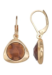 Brown Golden Tonal Drop Earrings