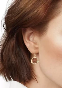Brown Golden Tonal Drop Earrings