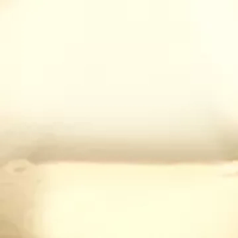 Gold Bow Ornament Drop Earrings