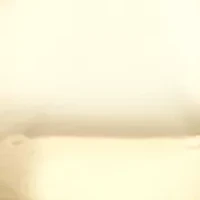 Gold Bow Ornament Drop Earrings