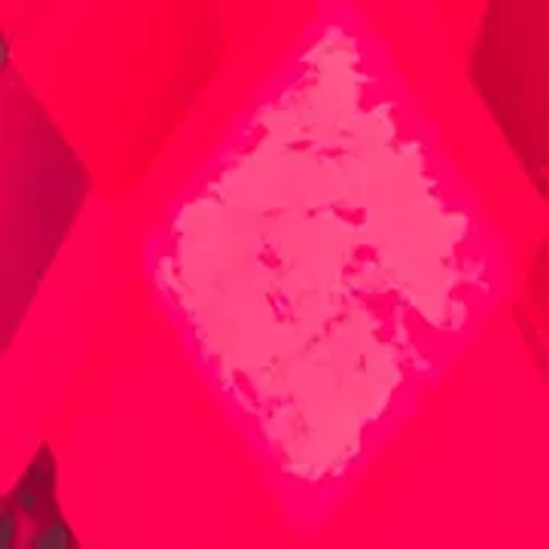 Gold Tone Red Poinsettia Leverback Drop Earrings