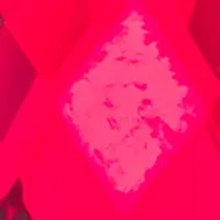 Gold Tone Red Poinsettia Leverback Drop Earrings