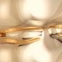 Ridge Gold Tone Hoop Earrings