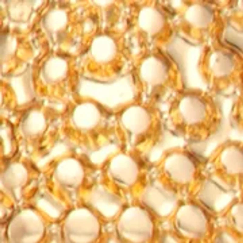  Bow Stud Gold Tone Earrings