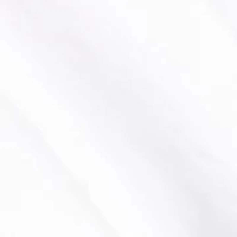 Button Stud Silver Tone Earrings